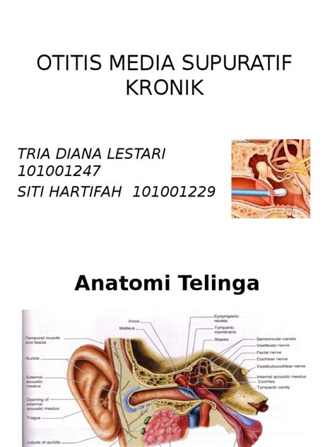 PDF Otitis Media Supuratif Kronik Slide DOKUMEN TIPS