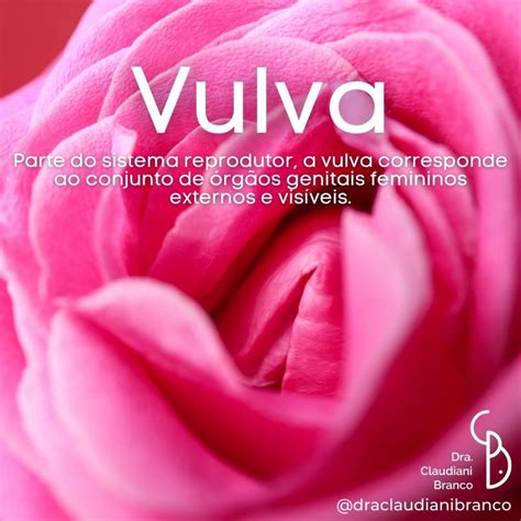 Vulva Dra Claudiani Alves Branco Gregorin