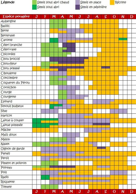 Calendrier Plantation Potager Christmas Lighting