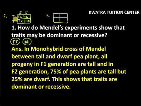 How Do Mendels Experiments Show That Traits May Be Dominant Or