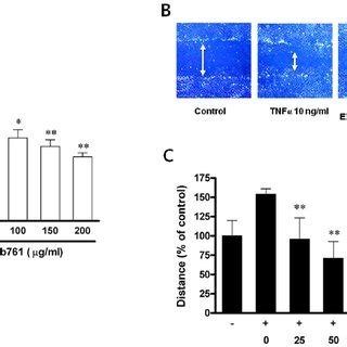 Effects of EGb761 on proliferation and TNF a -stimulated migration of ... 