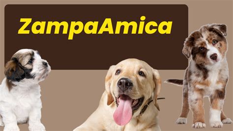 Il Manuale ZampaAmica Guida Completa Per Il Benessere Del Tuo Cane