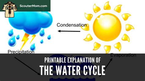 Printable Water Cycle Explanation – Scouter Mom