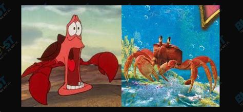 Fans Outraged At Sebastian's Look For Live-Action 'Little Mermaid'