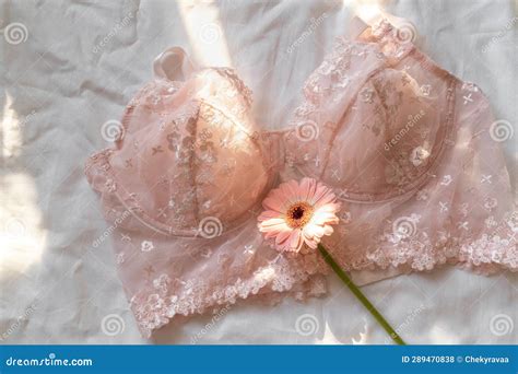 Gentle Pink Lace Bra On The Bed Women Tender Lingerie Underwear Stock