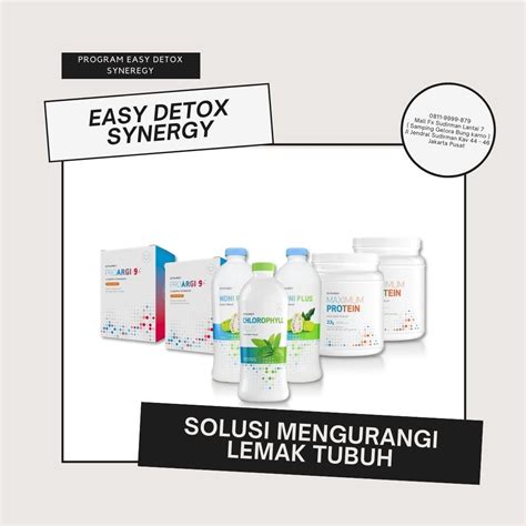 Solusi Lemak Tubuh Easy Detox Synergy Medium