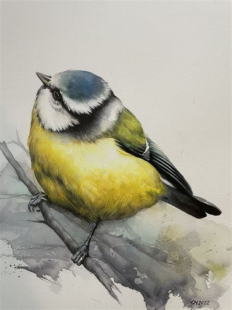 Blaumeise Natur Bluetit Aquarell Tiere Von Federbunt Kunstnet