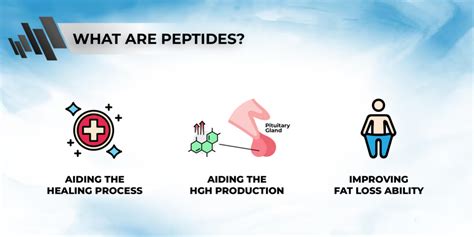 Peptides Vs Steroids Which Is Better Muscle Gain Fat Loss