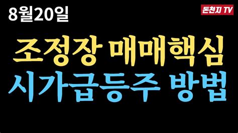 조정장 종목선정요령시가 급등주 매매방법 Youtube