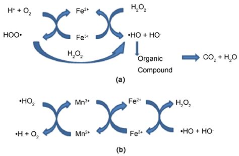 A Radicalar Mechanism Proposal For The Activation Of H 2 O 2 By Fe 2