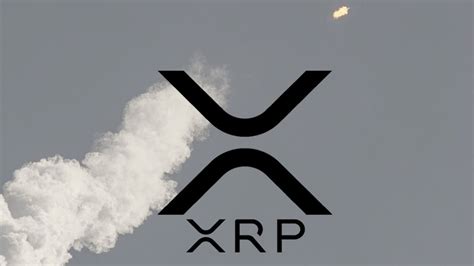 Xrp Ripple Wtf Xrp And Xrp Youtube