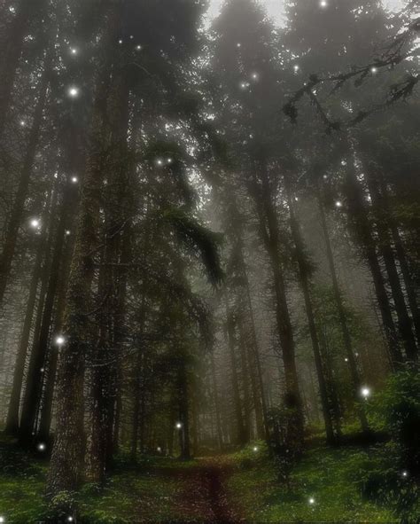 Grunge Fairy Forest Forest Fairy Aesthetic Fairy Wallpaper Dark