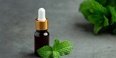 Peppermint Oil Benefits For Hair