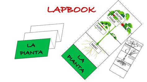 Lapbook Per La Scuola Primaria La Pianta SostegnO 2 0