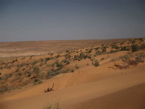 Strengthening Cooperation On Nature Conservation Between Turkmenistan