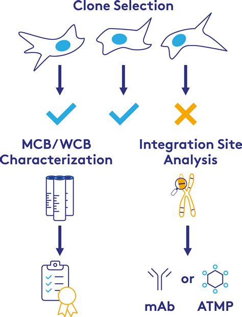 Cell Line Characterization Pathoquest