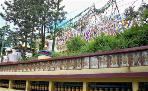 Mcleod Ganj Tranquil Beauty Tibetan Culture Hidden Beauty