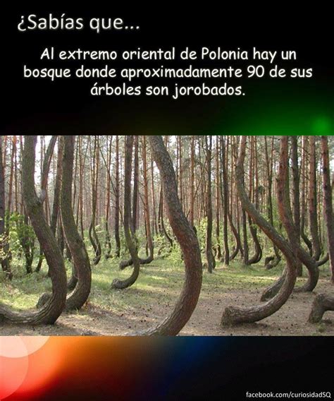 Curiosidades Del Mundo Que Deber As Saber Funeek Aqu Te