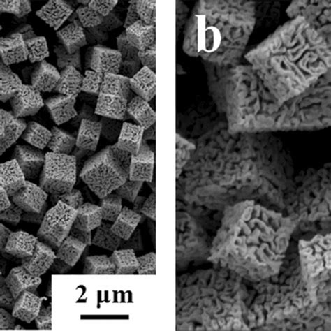 Sem Images Of Porous Silver Nanocubes Obtained On The Used Mac Surfaces