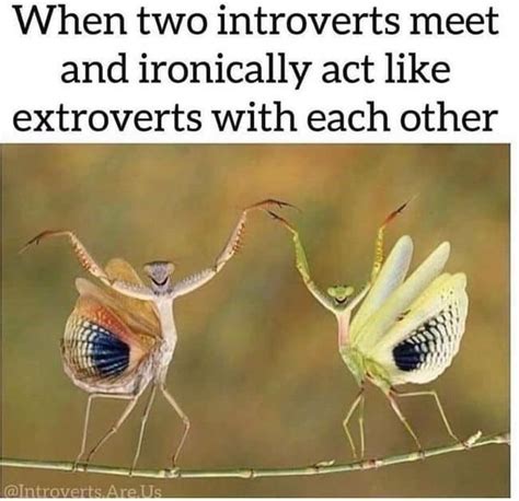 Introverts Wholesome Meme Meme By Starlost Memedroid The Best