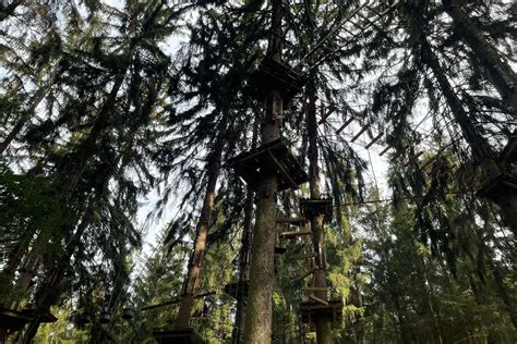 Teambildung Im Kletterwald Info Osamflughafens Webseite