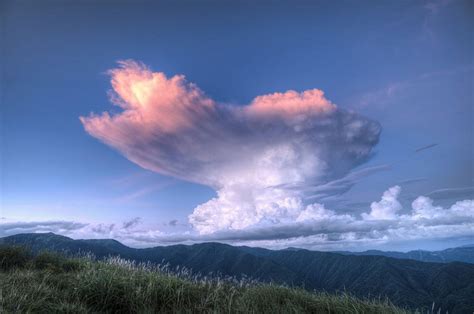 The Cloud Appreciation Society DOP