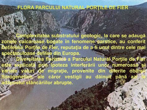 Ppt Parcul Natural PorŢile De Fier Powerpoint Presentation Free