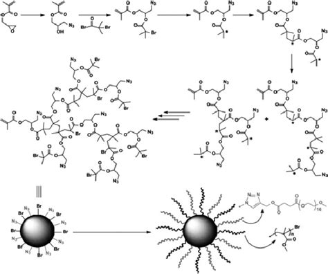 Clickable Hyperbranched Polymer Synthesized From Scvp Reproduced From