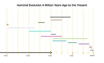 Early Humans Timeline by Erin Gauthier | Teachers Pay Teachers