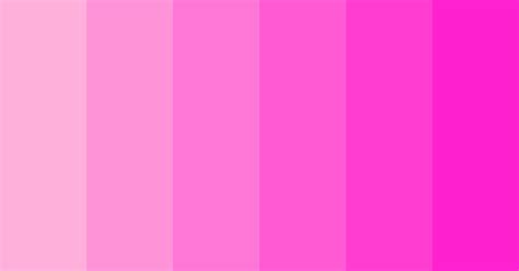 Pink Magenta Gradient Color Scheme Magenta