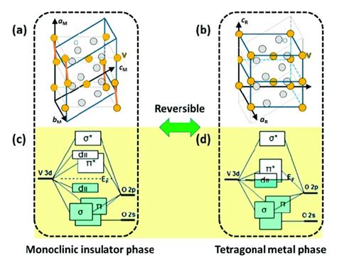 Schematic Of The Crystal Structure Of Vo 2 In The A Insulator Download Scientific Diagram