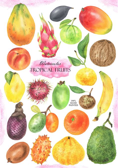 Watercolor Tropical Fruit Clipart Summer Fresh Exotic Fruits Clip Art