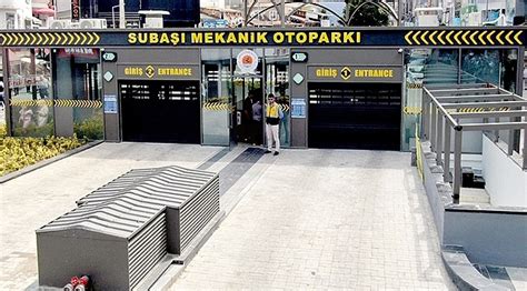 Subaşı nda Tarihi Doku İle Park Sorunu Çözüldü Beyaz Gaste Samsun