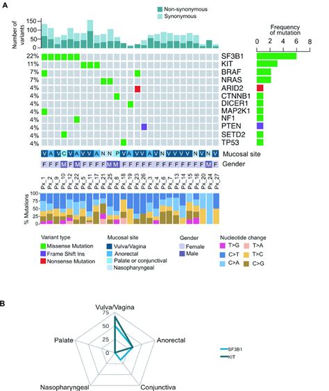 Mutational Landscape Of Melanoma Patients Across Different Mucosal