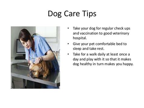 Pet care tips