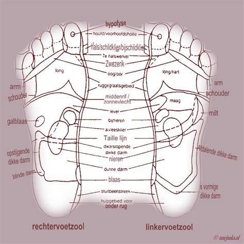 Geneesjezelf Voetreflex Kaart