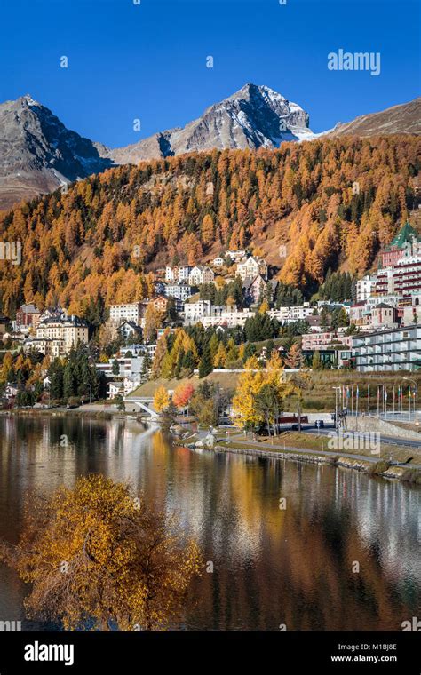 Fall foliage color and the luxury resort town of St. Moritz ...