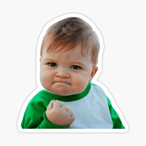 "Success Kid Meme | Funny Meme" Sticker for Sale by memeology69 | Redbubble