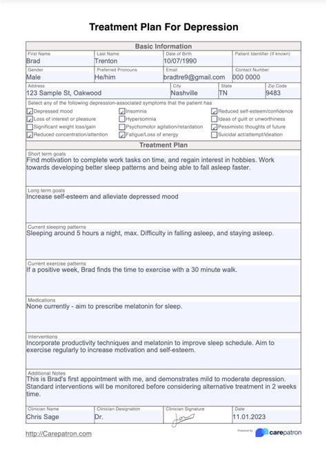 Treatment Plan For Depression Template & Example | Free PDF Download