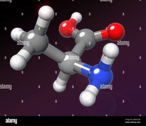 alanine  res stock photography  images alamy