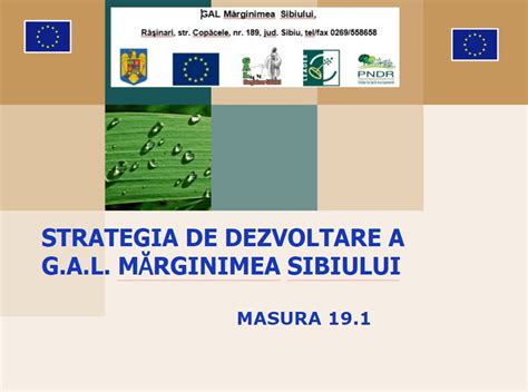 STRATEGIA DE DEZVOLTARE A G A L MĂRGINIMEA SIBIULUI MASURA 19 1