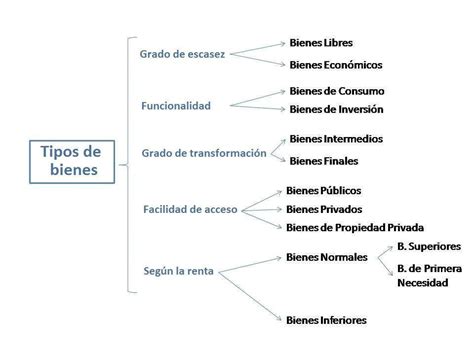 ClasificaciÓn De Los Bienes 5m08