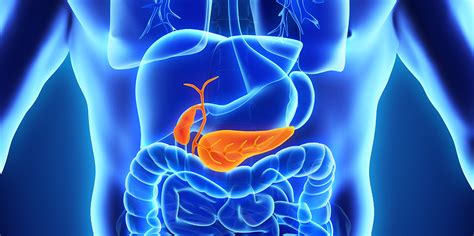 Coronavirus takes aim at insulin-producing cells in the pancreas - Scope