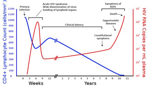 What Are HIV and AIDS? - Stages of AIDS - Gentaur - PCR kit, ELISA kit ...