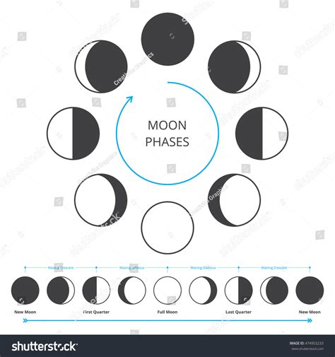 Moon Phases Icons Astronomy Lunar Symbols Stock Vector Royalty Free