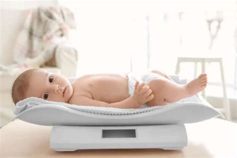 What S The Best Baby Scale In Reviews Yourcub