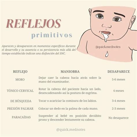 Reflejos Primitivos Quick Mednotes UDocz Medicine Knowledge