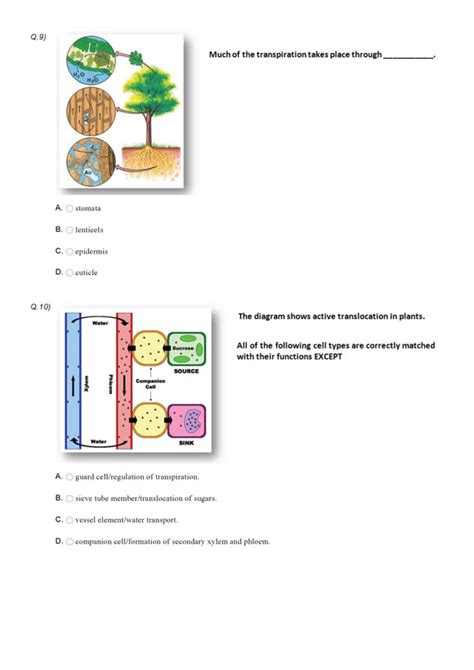 Class 10 Study Material Tagged Class 10 Science Olympiad Sample