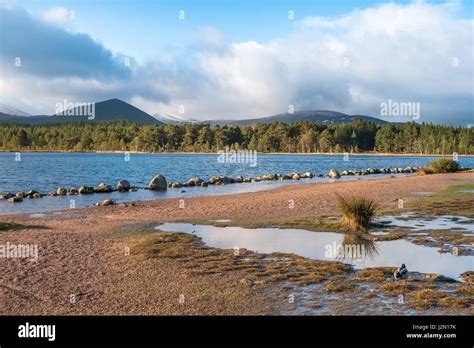 Aviemore Town Hi Res Stock Photography And Images Alamy