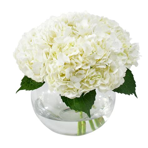 The One - White Hydrangea Bouquet - Flowers & Plants Co.